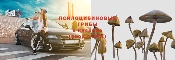 тгк Зеленодольск