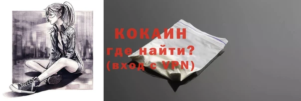 индика Зерноград