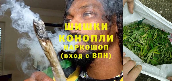 индика Зерноград
