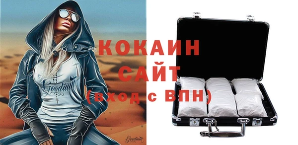 индика Зерноград