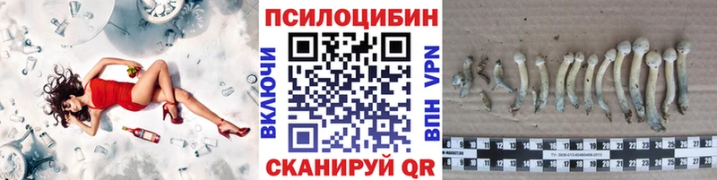 Купить где  Родники  Галлюциногенные грибы Psilocybe 